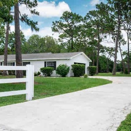 3Bdr2Bath Home In Lutz Close To Tampa, 20 Min To Stadium, Airport Exteriör bild