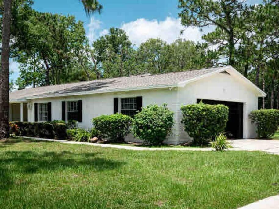 3Bdr2Bath Home In Lutz Close To Tampa, 20 Min To Stadium, Airport Exteriör bild